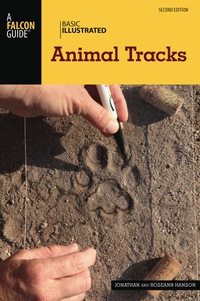 Titelbild: Basic Illustrated Animal Tracks 2nd edition 9781493017171