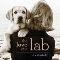 Omslagafbeelding: The Love of a Lab 9781493038954