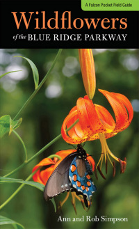 Titelbild: Wildflowers of the Blue Ridge Parkway 9780762770113