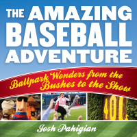 Cover image: The Amazing Baseball Adventure 9781493025077