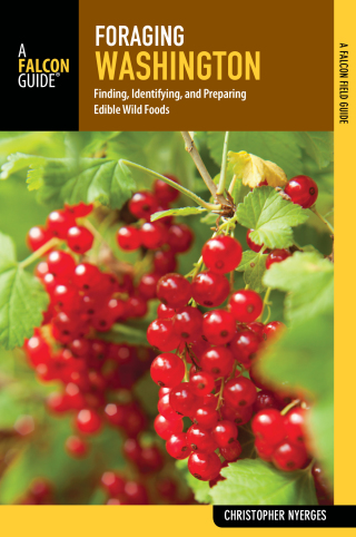 Immagine di copertina: Foraging Washington 9781493025336