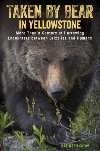 Cover image: Taken by Bear in Yellowstone 9781493017713