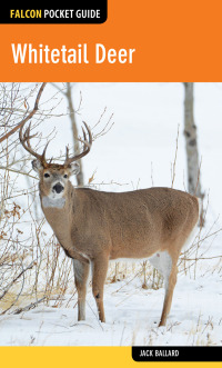 Cover image: Whitetail Deer 9781493026456