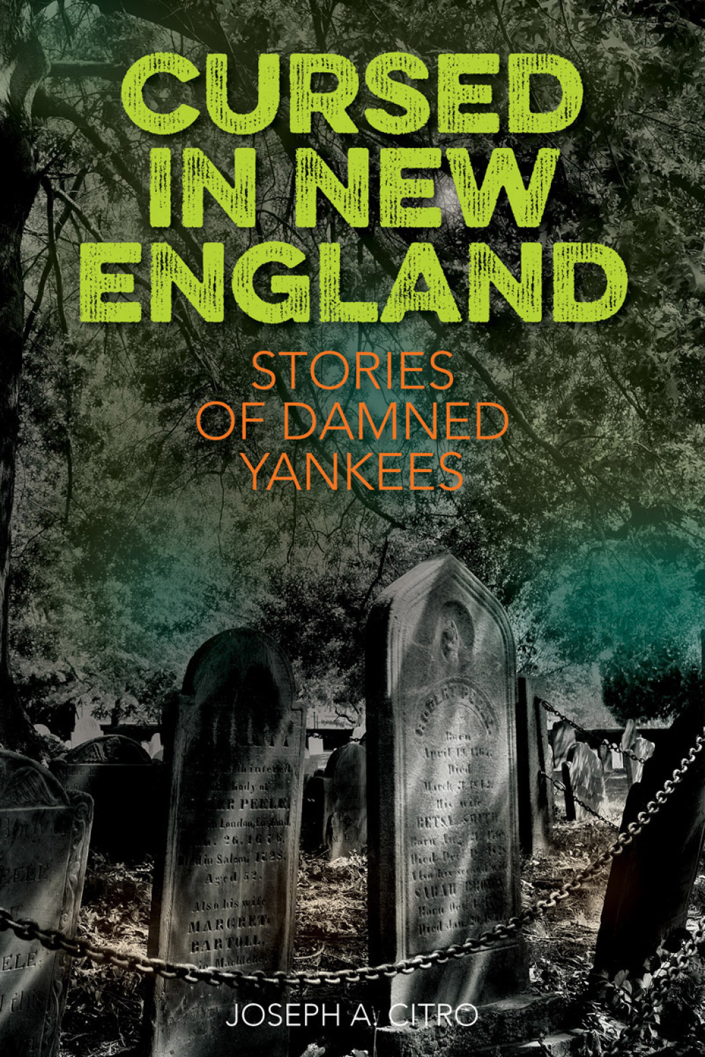 Cursed in New England More Stories of Damned Yankees 1st Edition