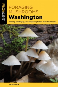 Immagine di copertina: Foraging Mushrooms Washington 9781493036424