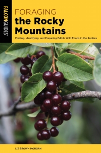 Titelbild: Foraging the Rocky Mountains 2nd edition 9781493037810