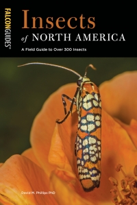 Cover image: Insects of North America 9781493039234