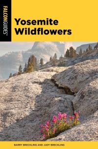 Omslagafbeelding: Yosemite Wildflowers 9781493040667