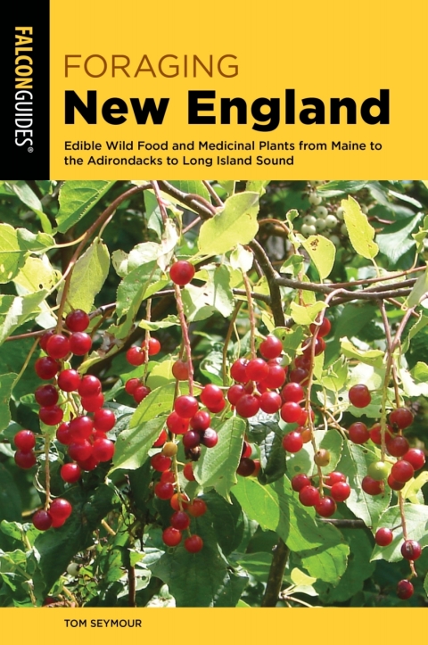 Foraging New England: Edible Wild Food and Medicinal Plants from Maine to the Adirondacks to Long Island Sound, 3rd Edition - FULL INSTANT DOWNLOAD | PDF DOCX EPUB