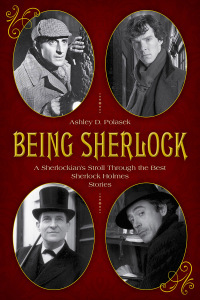 Imagen de portada: Being Sherlock 9781493042395