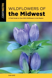Omslagafbeelding: Wildflowers of the Midwest 9781493046249