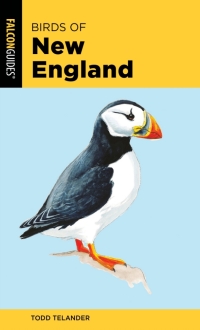 Cover image: Birds of New England 2nd edition 9781493051908