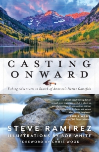 Cover image: Casting Onward 9781493062294