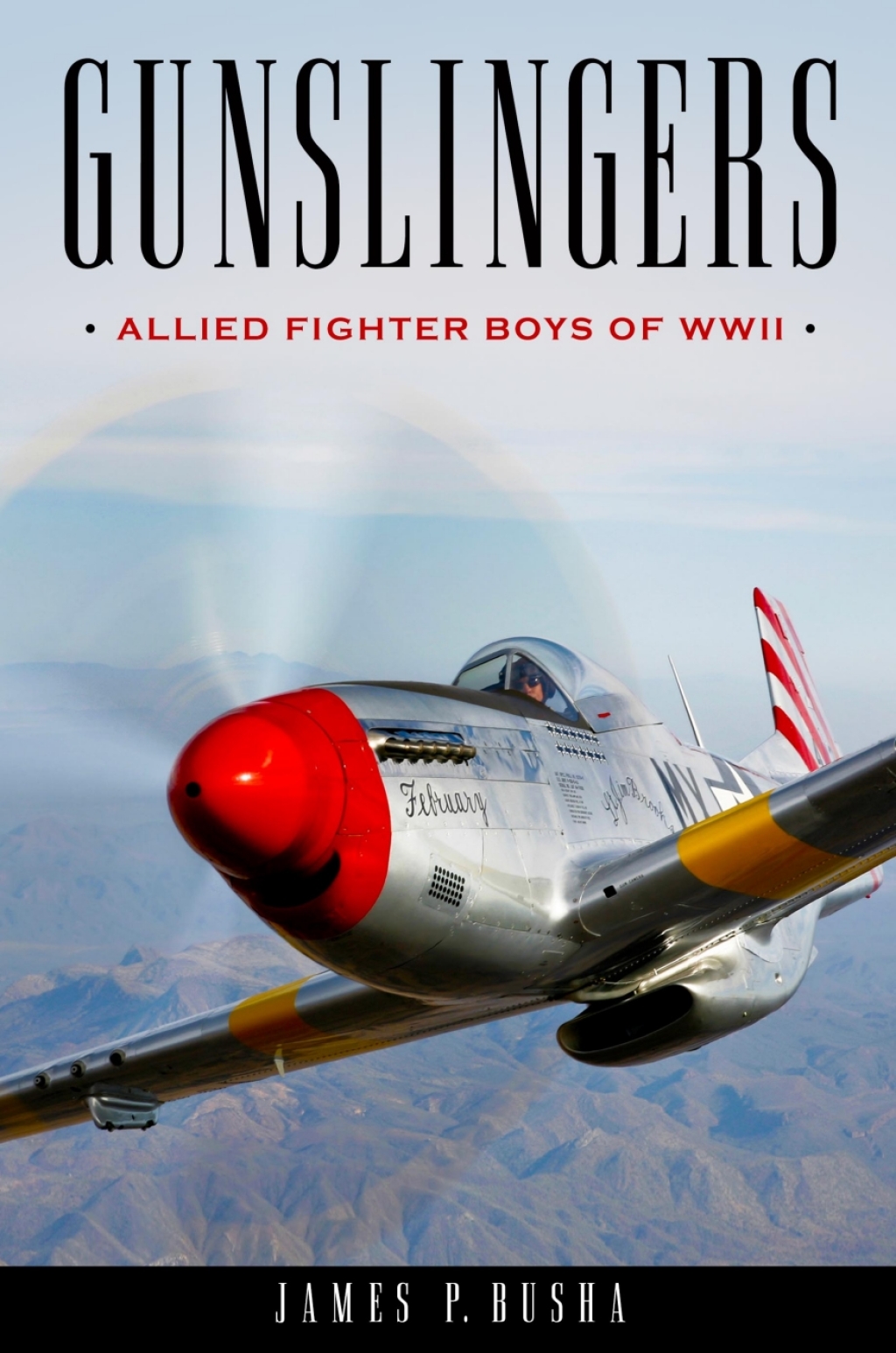 Gunslingers Allied Fighter Boys of WWII