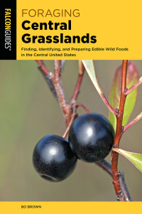 Immagine di copertina: Foraging Central Grasslands 9781493064076