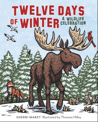 Imagen de portada: Twelve Days of Winter 9781493064090