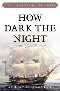 Cover image: How Dark the Night 9781493058112