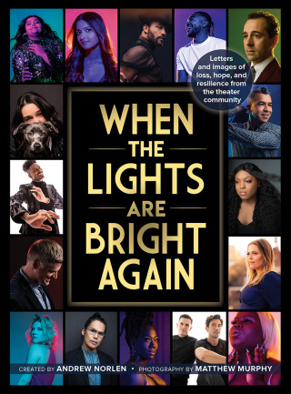 Cover image: When the Lights Are Bright Again 1st edition 9781493066599