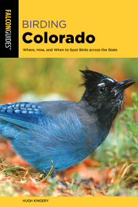 Imagen de portada: Birding Colorado 2nd edition 9781493067367