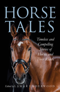 Omslagafbeelding: Horse Tales 9781493065523