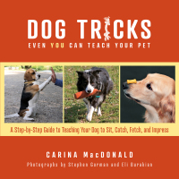 صورة الغلاف: Dog Tricks Even You Can Teach Your Pet 9781493069224