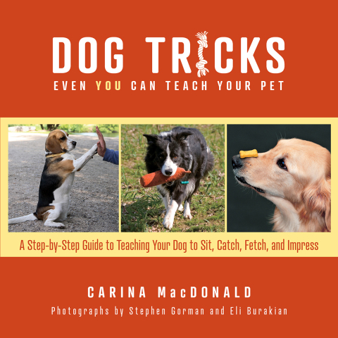 Dog Tricks Even You Can Teach Your Pet: A Step-by-Step Guide to Teaching Your Pet to Sit, Catch, Fetch, and Impress - FULL INSTANT DOWNLOAD | PDF DOCX EPUB