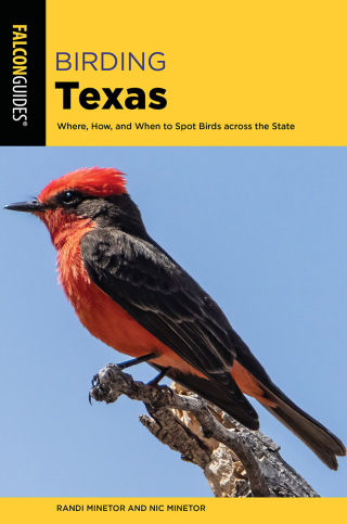 صورة الغلاف: Birding Texas 9781493072422