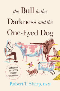 Omslagafbeelding: The Bull in the Darkness and the One-Eyed Dog 9781493073177