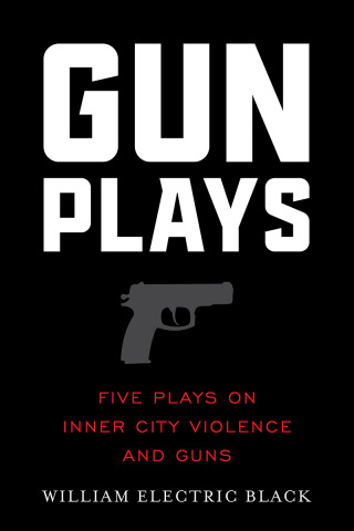 Cover image: Gunplays 1st edition 9781493074808
