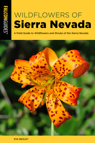 Cover image: Sierra Nevada Wildflowers 3rd edition 9781493075614