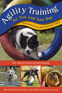 Titelbild: Agility Training for You and Your Dog 2nd edition 9781493075638