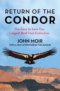 Cover image: Return of the Condor 9781493076659