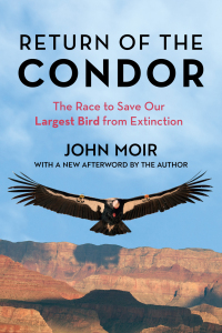 Imagen de portada: Return of the Condor 9781493076659