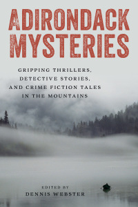 Immagine di copertina: Adirondack Mysteries 9781493080625