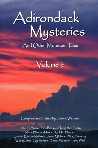 Cover image: Adirondack Mysteries 9781595310552