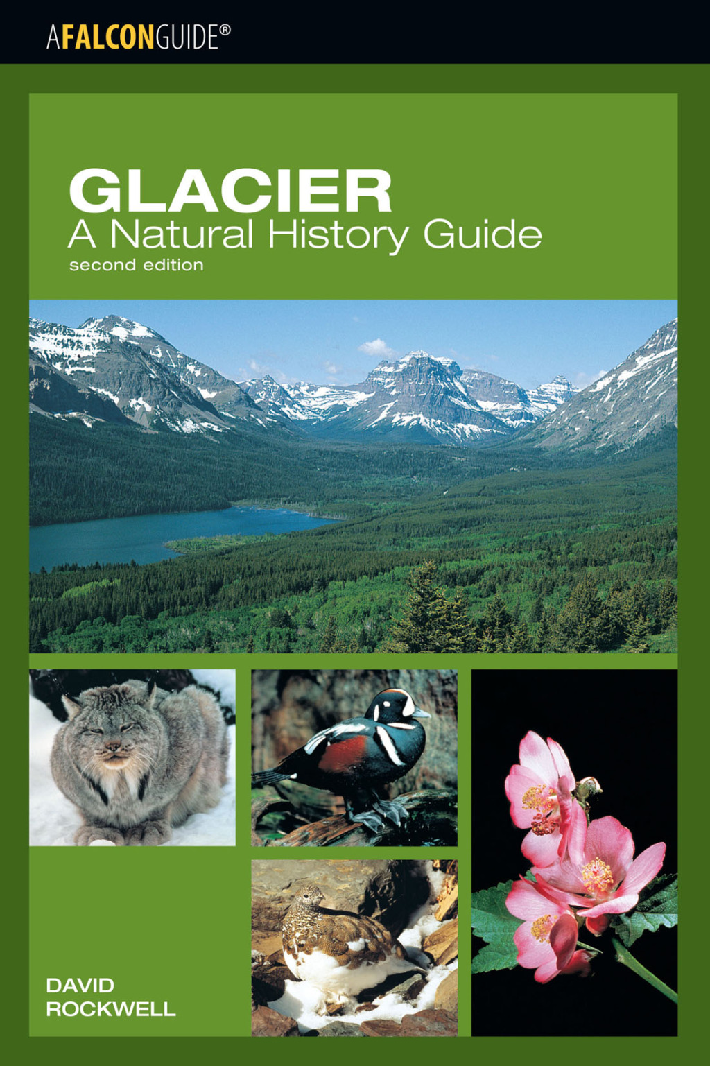 Glacier: A Natural History Guide 2nd Edition