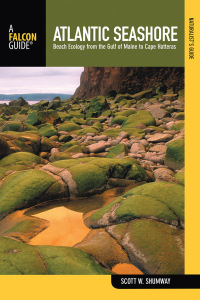 Cover image: Naturalist's Guide to the Atlantic Seashore 1st edition 9780762742370