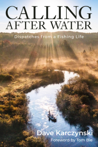 Cover image: Calling After Water 9781493086467