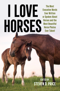 Cover image: I Love Horses 9781493086870