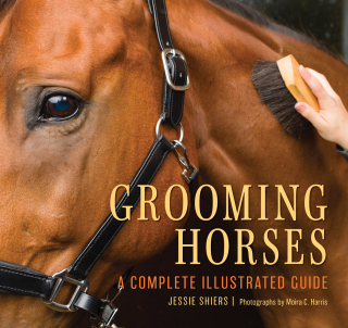 Cover image: Grooming Horses 9781493088461