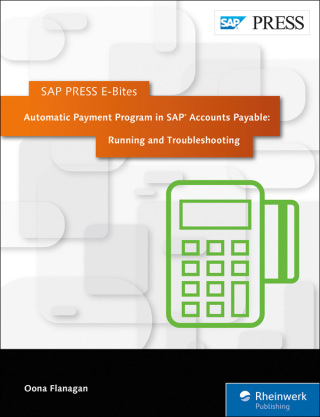 Imagen de portada: Automatic Payment Program in SAP Accounts Payable: Running and Troubleshooting 1st edition