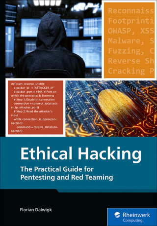 Imagen de portada: Ethical Hacking: The Practical Guide for Pentesting and Red Teaming 1st edition 9781493228423