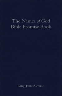表紙画像: The KJV Names of God Bible Promise Book, Blue Imitation Leather 9780801005404