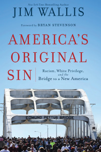 Cover image: America's Original Sin 9781587434006