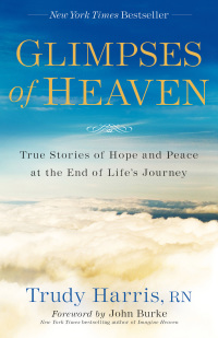 Cover image: Glimpses of Heaven 9780800728151
