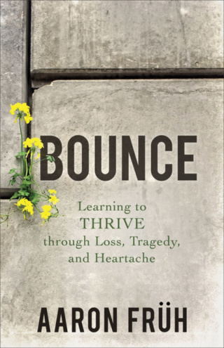 Imagen de portada: Bounce 9780801075155