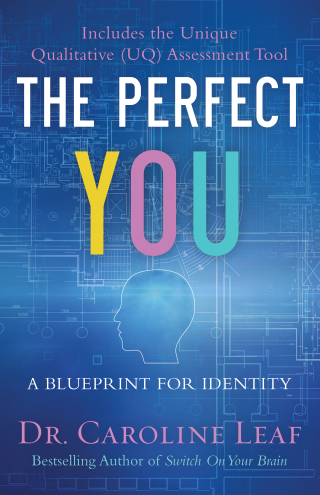 Imagen de portada: The Perfect You 9780801077968