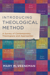 Cover image: Introducing Theological Method 9780801049491