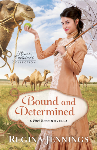 Cover image: Bound and Determined 9781493412044