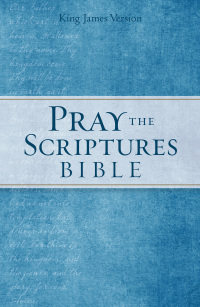 صورة الغلاف: KJV Pray the Scriptures Bible 9780764219542